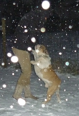 Myfairbull - Dansons sous la neige...